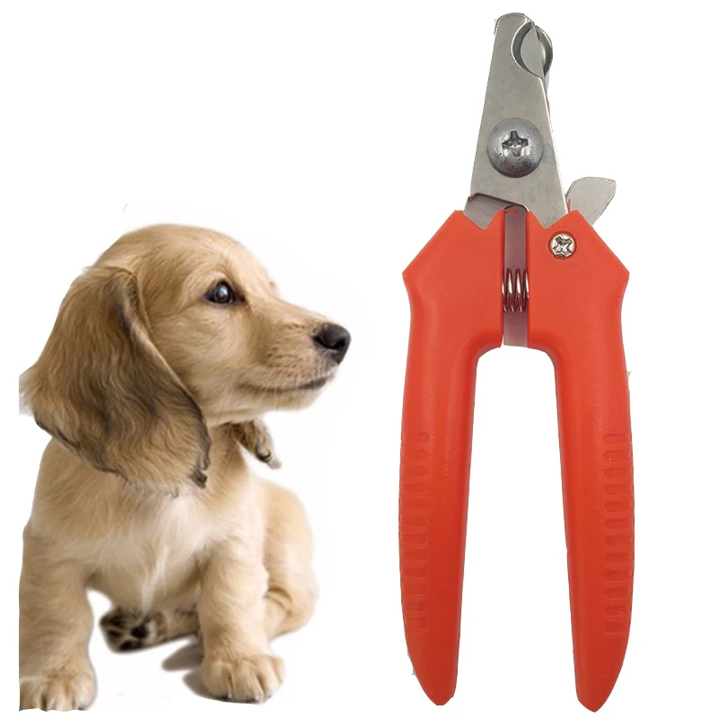 Stainless Steel Head Cats Dogs Nails Clippers Trimmer Pet Nail Claw Grooming Scissors Cutter Tools with Lock
Stainless Steel Head Cats Dogs Nails Clippers Trimmer Pet Nail Claw Grooming Scissors Cutter Tools with Lock