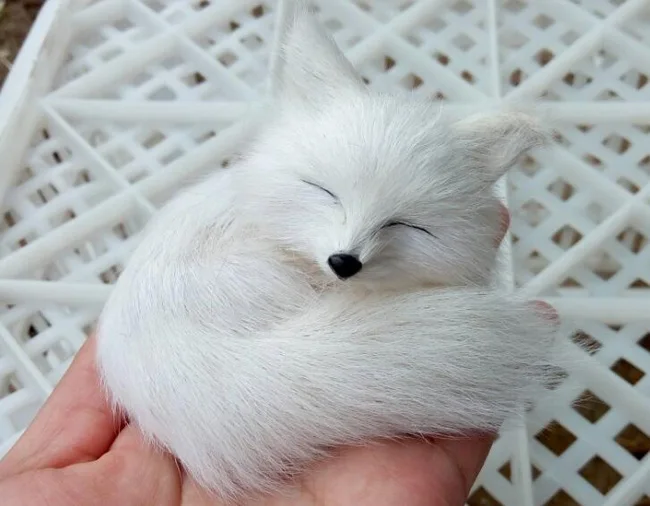 mini 7x5cm plastic&fur white sleeping fox hard model craft home decoration toy gift w0107
mini 7x5cm plastic&fur white sleeping fox hard model craft home decoration toy gift w0107