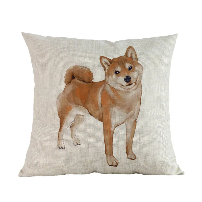 shiba-inu