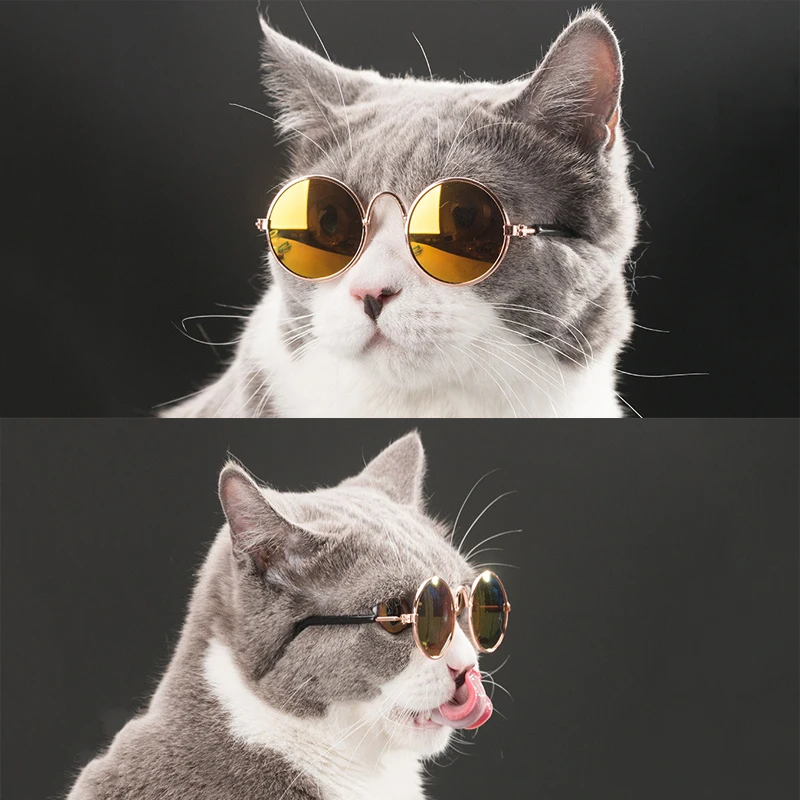 Fashion Pet Glasses Sunglasses for Dog Cat Take Photos Props Pet Creative Trend Toys Puppy Kitten Dress Up Accessories
Fashion Pet Glasses Sunglasses for Dog Cat Take Photos Props Pet Creative Trend Toys Puppy Kitten Dress Up Accessories