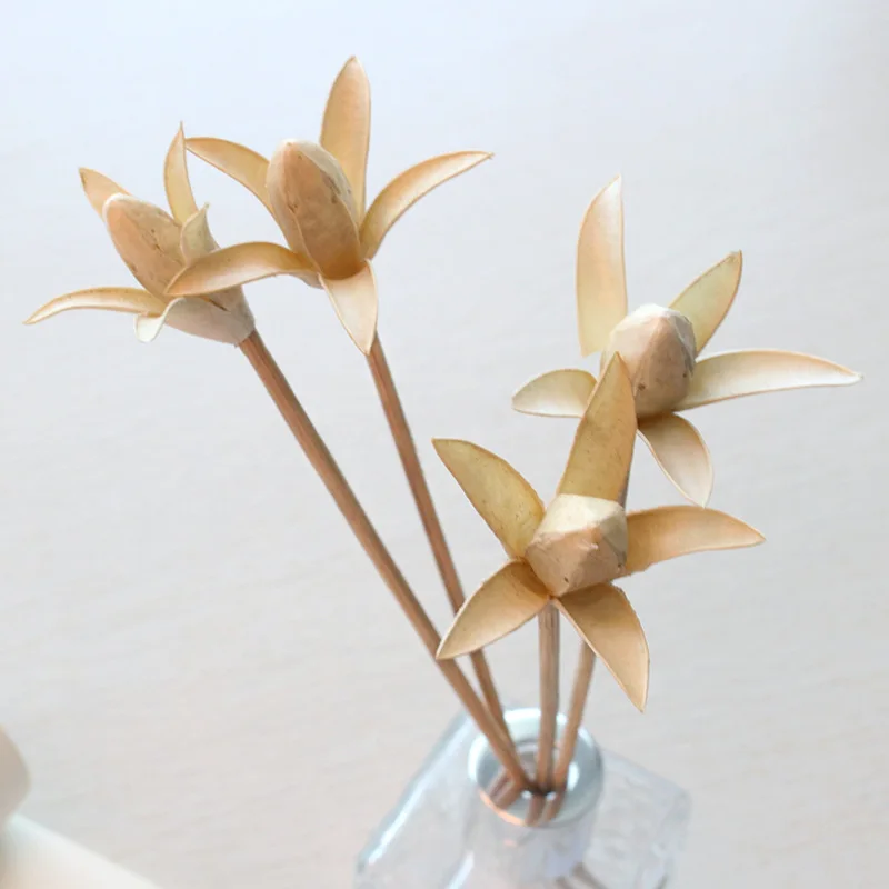 Lychee 5pcs Opening Small Artificial Flower Reed Diffuser Replacement Stick Handmade Home Decoration Simple Style Rattan
Lychee 5pcs Opening Small Artificial Flower Reed Diffuser Replacement Stick Handmade Home Decoration Simple Style Rattan