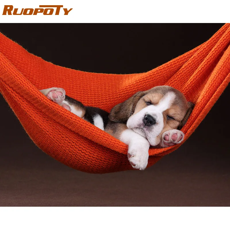 RUOPOTY Frame Sleep Dog Diy Painting By Numbers Kit Animals Coloring By Numbers Modern Wall Art Picture By Number For Home Decor
RUOPOTY Frame Sleep Dog Diy Painting By Numbers Kit Animals Coloring By Numbers Modern Wall Art Picture By Number For Home Decor