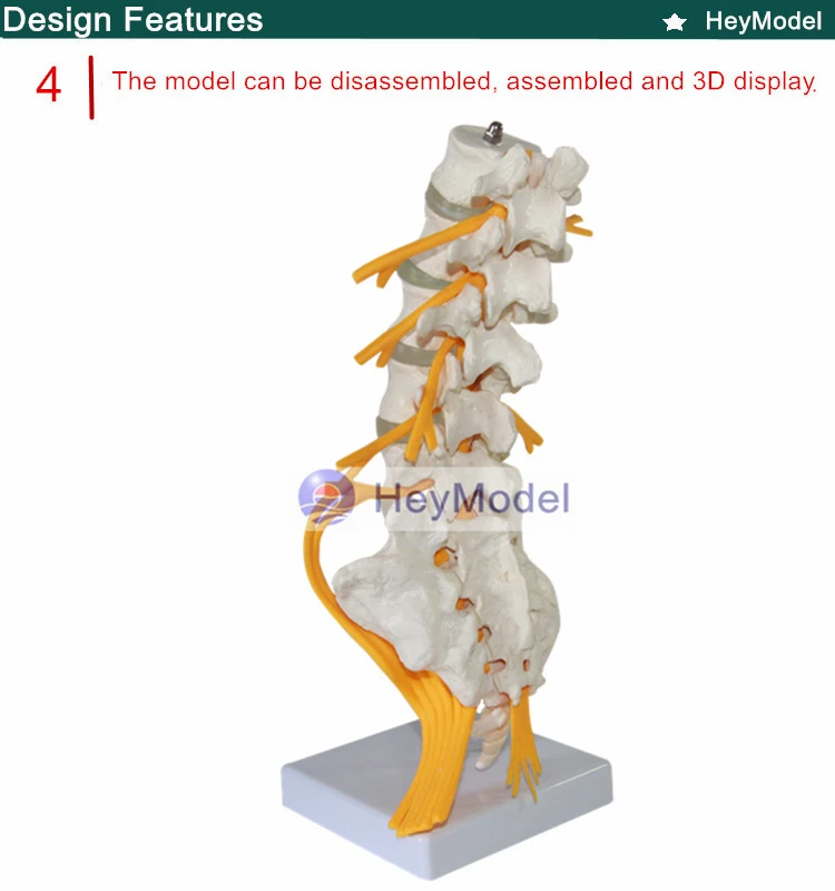 4 _