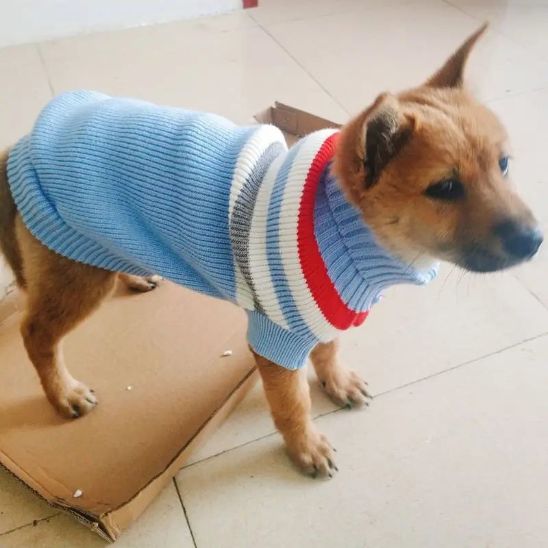 Pet Dog Clothes for Small Dog Coats Jacket Winter Dogs Cats Clothing Warm Knitted SweatersTeddy Sweaters Dog High Collar Sweater
Pet Dog Clothes for Small Dog Coats Jacket Winter Dogs Cats Clothing Warm Knitted SweatersTeddy Sweaters Dog High Collar Sweater