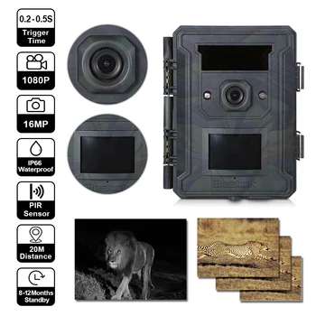 M960 Wildlife Hunting Camera 16MP 1080P Trail Camera Waterproof Infrared Night Vision Scouting Camera with PIR Sensor Wide Lens
M960 Wildlife Hunting Camera 16MP 1080P Trail Camera Waterproof Infrared Night Vision Scouting Camera with PIR Sensor Wide Lens