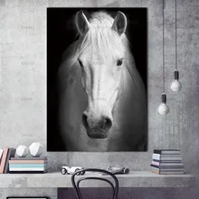 Wall art Animal canvas painting home deor Wall Pictures print for Living Room Art Decoration Pictures No Frame morden print
Wall art Animal canvas painting home deor Wall Pictures print for Living Room Art Decoration Pictures No Frame morden print