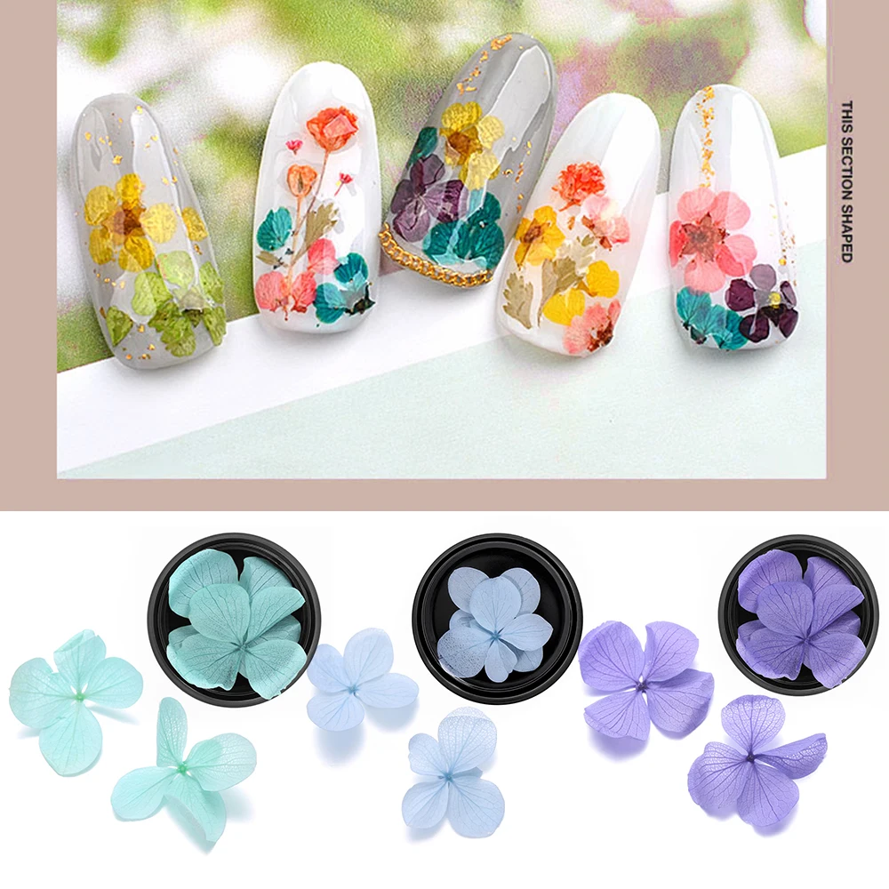 1Box Real Dried Flowers Leaf Nail Decoration Natural Floral Sticker 3D Dry Beauty Nail Art Decals Jewelry UV Gel Polish Manicure
1Box Real Dried Flowers Leaf Nail Decoration Natural Floral Sticker 3D Dry Beauty Nail Art Decals Jewelry UV Gel Polish Manicure