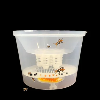 1 set Hornet Trapper Fly Bug Catching Traps Wasp Catcher Hanging on Tree Insectary Box Bees Bee Tool and Beekeeping Equipment
1 set Hornet Trapper Fly Bug Catching Traps Wasp Catcher Hanging on Tree Insectary Box Bees Bee Tool and Beekeeping Equipment