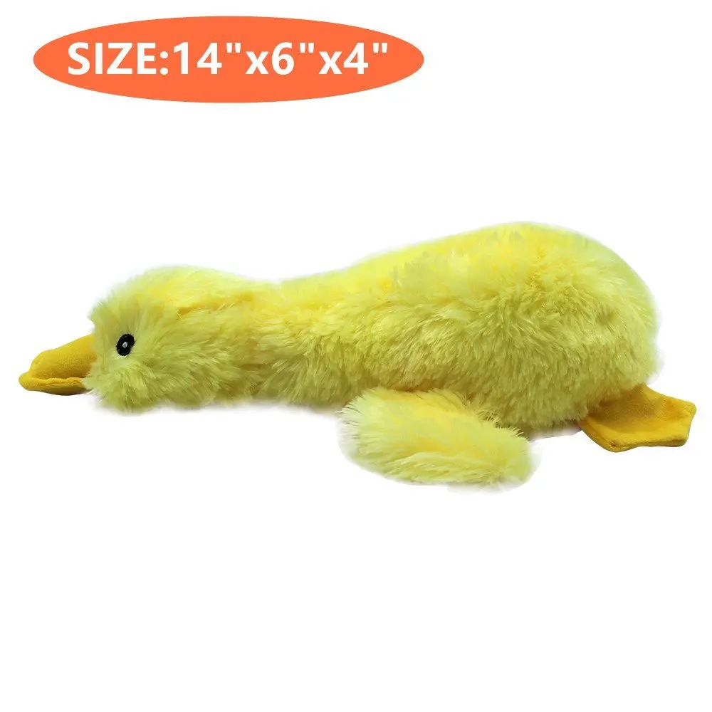 61SS8tB8e8L._SL1000_