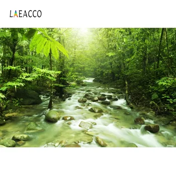 Laeacco Tropical Forest Backdrops Green Trees Stone Creek Way Natural Scenic Photographic Backgrounds Photocall Photo Studio
Laeacco Tropical Forest Backdrops Green Trees Stone Creek Way Natural Scenic Photographic Backgrounds Photocall Photo Studio