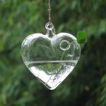 Free Shipping 8pcs/pack Star Heart Shaped Glass Terrarium Vase Creative Home Wedding Room Decorative Terrarium
Free Shipping 8pcs/pack Star Heart Shaped Glass Terrarium Vase Creative Home Wedding Room Decorative Terrarium