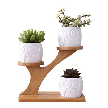 Creative White Succulent Plant Flower Pot Holder Ceramic Owl Pattern Pots Treetop Shaped Bamboo Shelf Pot Planter Sets
Creative White Succulent Plant Flower Pot Holder Ceramic Owl Pattern Pots Treetop Shaped Bamboo Shelf Pot Planter Sets