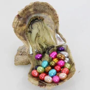 Free Shipping AAA Grade Vacuum Packed Oysters Akoya Shell with freshwater rice Pearl natural cultivated edison pearl AO027
Free Shipping AAA Grade Vacuum Packed Oysters Akoya Shell with freshwater rice Pearl natural cultivated edison pearl AO027