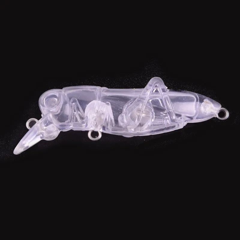 40pcs Unpainted Insect Baits Fishing Lures Wobblers Crankbaits for Carp Fishing Lure Blank Bait Hard Plastic Baits Fishing Bass
40pcs Unpainted Insect Baits Fishing Lures Wobblers Crankbaits for Carp Fishing Lure Blank Bait Hard Plastic Baits Fishing Bass