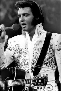 Free Shipping Custom Poster Nice Bedroom Decor Fashion Wall Sticker Elvis Presley Mural The Hillbilly Cat Wallpaper#0170#
Free Shipping Custom Poster Nice Bedroom Decor Fashion Wall Sticker Elvis Presley Mural The Hillbilly Cat Wallpaper#0170#