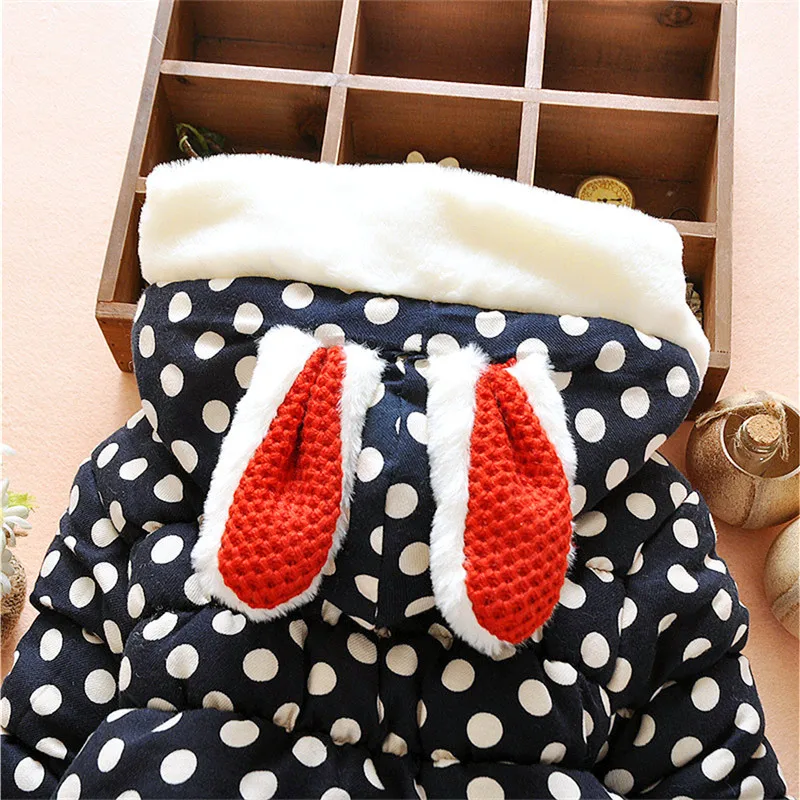 2423316010_128607065