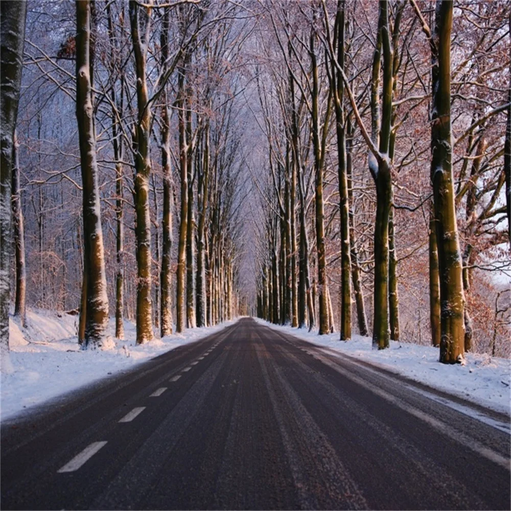 Laeacco Trees Winter Snow Scenic Photographic Backgrounds Customized Photography Backdrops For Photo Studio
Laeacco Trees Winter Snow Scenic Photographic Backgrounds Customized Photography Backdrops For Photo Studio