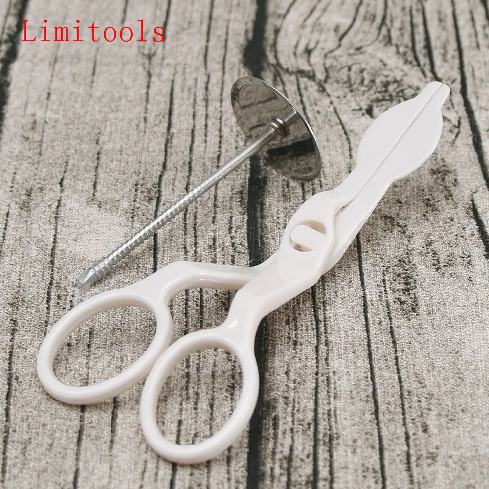 2pc Cake Decorating Nails Stainless Steel Cake Flower Needle and Plastic Scissor Fondant Decor Flowers Lifter Dessert Decorators
2pc Cake Decorating Nails Stainless Steel Cake Flower Needle and Plastic Scissor Fondant Decor Flowers Lifter Dessert Decorators