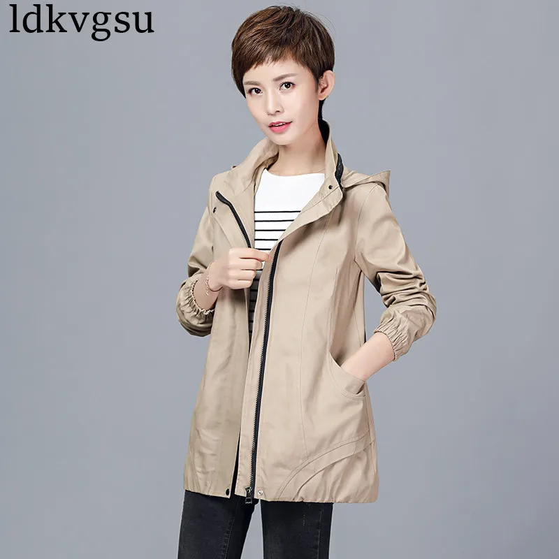 Casual Middle-aged Hooded Jacket Women Mother 2019 Spring Autumn Short Windbreaker thin section loose Large size Coats V279
Casual Middle-aged Hooded Jacket Women Mother 2019 Spring Autumn Short Windbreaker thin section loose Large size Coats V279