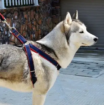 New Adjustable Dog Leash+harness Colorful Jean Denim Lead Harness Dog Collar Chain Cat rope belt collar dogs M L XL Size 3 color
New Adjustable Dog Leash+harness Colorful Jean Denim Lead Harness Dog Collar Chain Cat rope belt collar dogs M L XL Size 3 color