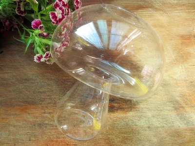 Clear Glass Mushroom Plant Flower Vase Hydroponic Container Table decorative vase Wedding Home Office Party Decor 12cm x H15cm
Clear Glass Mushroom Plant Flower Vase Hydroponic Container Table decorative vase Wedding Home Office Party Decor 12cm x H15cm