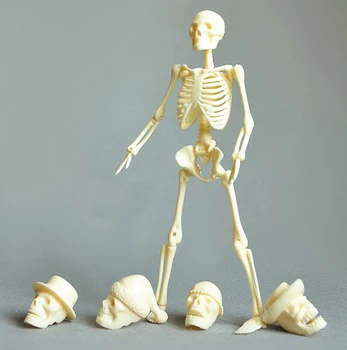 Human anatomical body 20cm assembling skeleton skull model educational brain Traumatism manikin drawing science toys
Human anatomical body 20cm assembling skeleton skull model educational brain Traumatism manikin drawing science toys