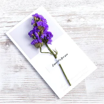 1pcs Natural Dried Flowers Paper Envelopes Craft European Style Envelope For Card Mail Shipping Supplies Scrapbooking Gift
1pcs Natural Dried Flowers Paper Envelopes Craft European Style Envelope For Card Mail Shipping Supplies Scrapbooking Gift