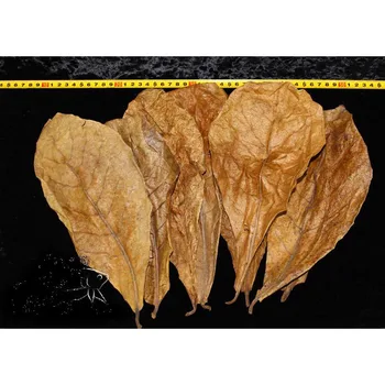50pcs Nature Terminalia Catappa Foetida Almond Leaves Water Filter Aquarium Fish Tank Breeding Shrimp Snails Catfish Ornament
50pcs Nature Terminalia Catappa Foetida Almond Leaves Water Filter Aquarium Fish Tank Breeding Shrimp Snails Catfish Ornament