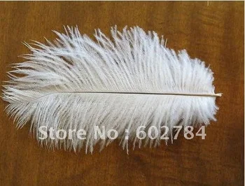 Wholesale ostrich feather 100pcs/lot 6-8 inches 15-20cm white ostrich plumes ostich plumage Free Shipping
Wholesale ostrich feather 100pcs/lot 6-8 inches 15-20cm white ostrich plumes ostich plumage Free Shipping
