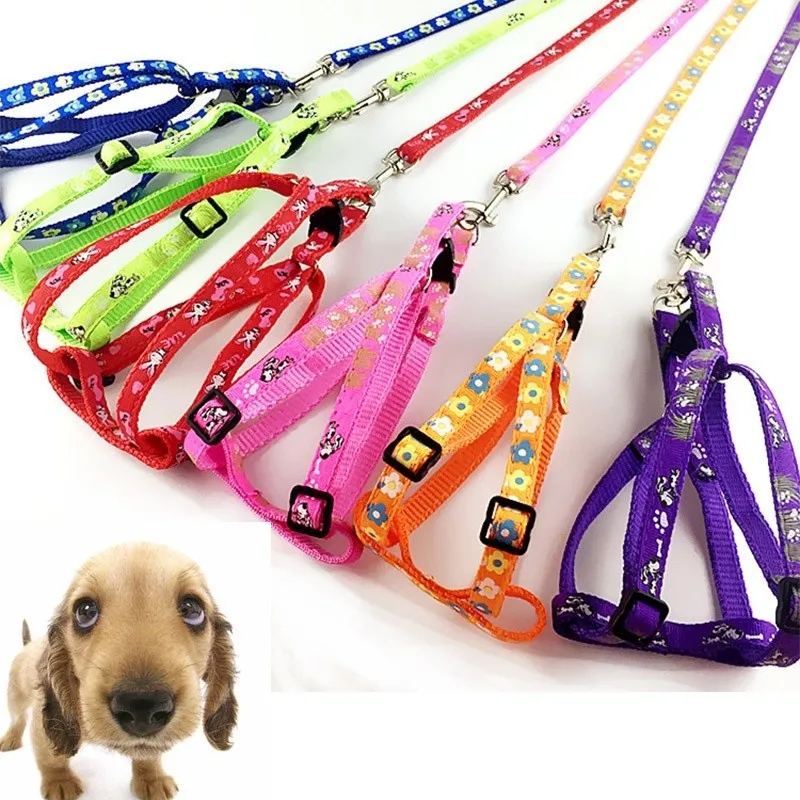 1 pc 120cm Dog Leash High Quality 8 Colors Long Nylon Breakaway Pet Lead Rope Dog Daily Walking Leash Supply
1 pc 120cm Dog Leash High Quality 8 Colors Long Nylon Breakaway Pet Lead Rope Dog Daily Walking Leash Supply