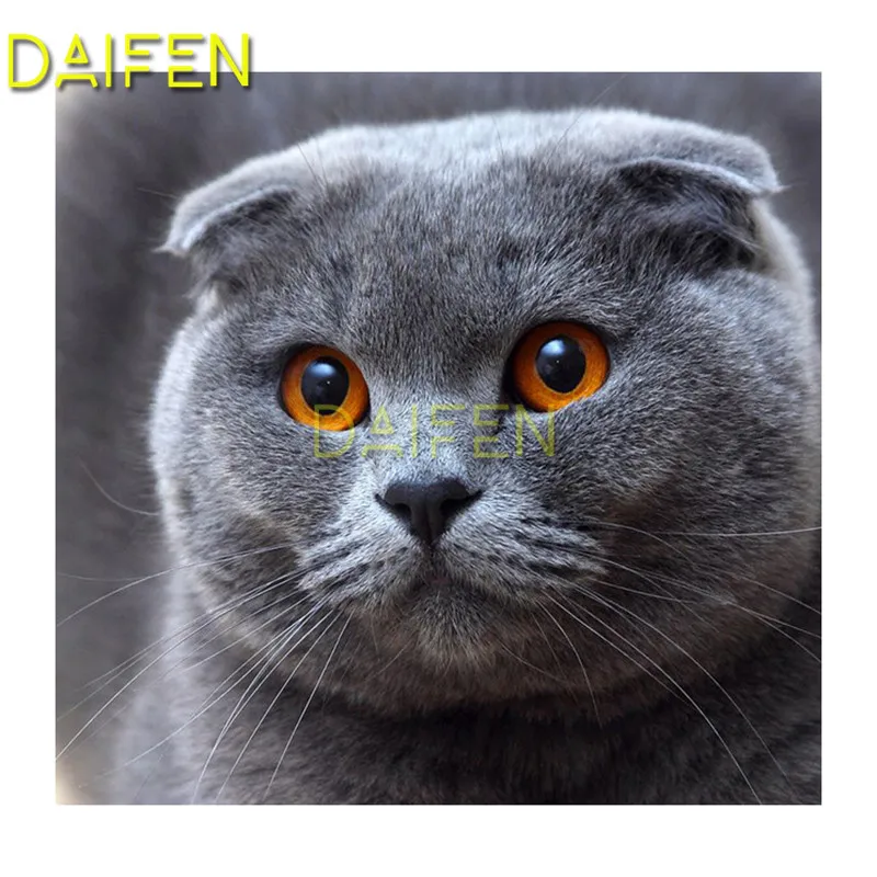DIY 3D Diamond painting Cross stitch Full Square Diamond embroidery gray British Shorthair cat Full Round Diamond mosaic
DIY 3D Diamond painting Cross stitch Full Square Diamond embroidery gray British Shorthair cat Full Round Diamond mosaic