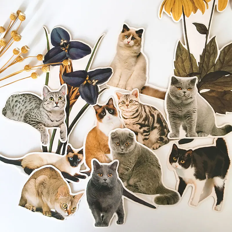 13Pcs/Pack Vintage Cute British Puppet Cat Sticker DIY Craft Scrapbooking Album Junk Journal Planner Decorative Stickers Package
13Pcs/Pack Vintage Cute British Puppet Cat Sticker DIY Craft Scrapbooking Album Junk Journal Planner Decorative Stickers Package