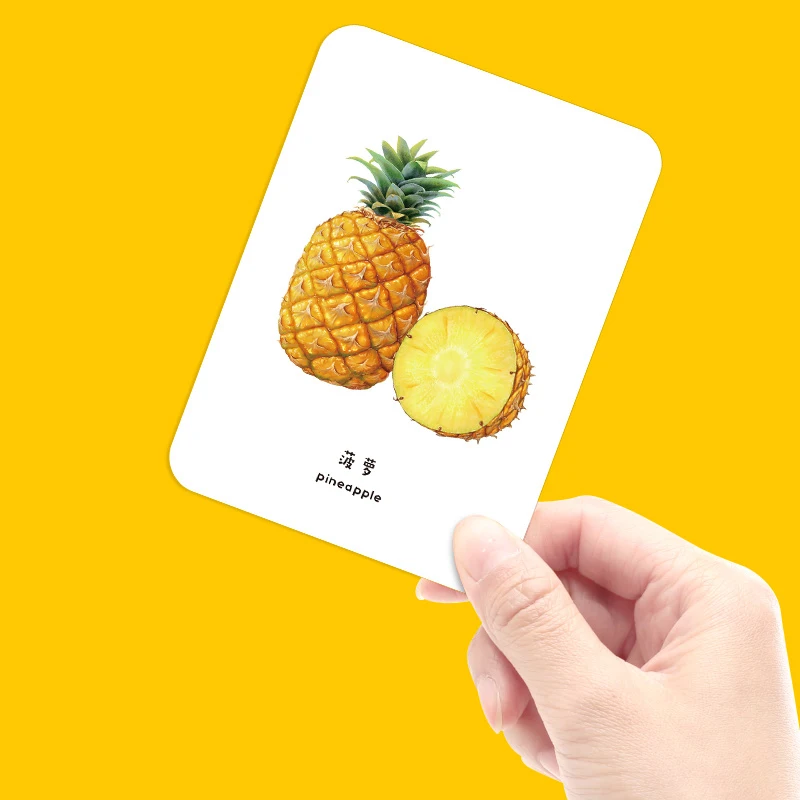 Baby Learning Fruit English Iron box Card Book Intelligence Development Learn Picture Cognize Waterproof Reading Card Book Kids
Baby Learning Fruit English Iron box Card Book Intelligence Development Learn Picture Cognize Waterproof Reading Card Book Kids