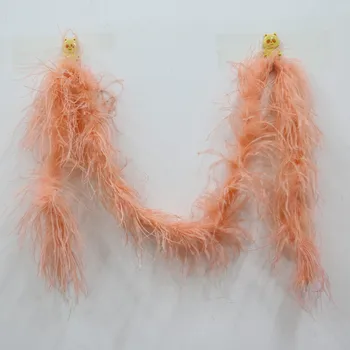 champagne 2Meter Wedding Party Decoration Festival Events Cloth trim DIY Ostrich Plumage Home Room Dyed Feather Boa Supplies
champagne 2Meter Wedding Party Decoration Festival Events Cloth trim DIY Ostrich Plumage Home Room Dyed Feather Boa Supplies
