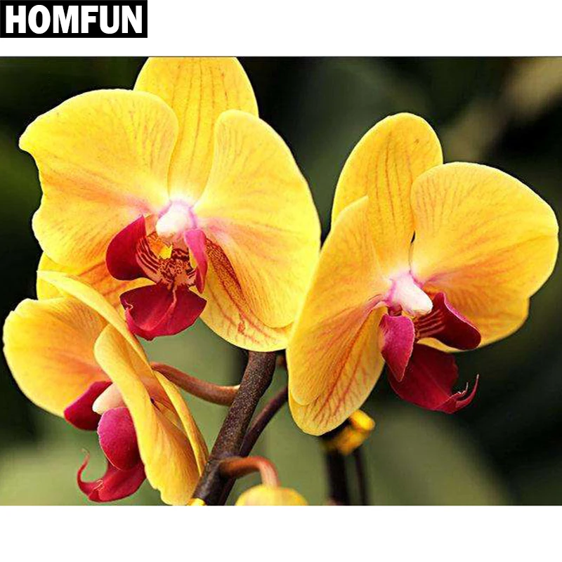 HOMFUN Full Square/Round Drill 5D DIY Diamond Painting "Orchid flower" Embroidery Cross Stitch 5D Home Decor Gift A06131
HOMFUN Full Square/Round Drill 5D DIY Diamond Painting "Orchid flower" Embroidery Cross Stitch 5D Home Decor Gift A06131
