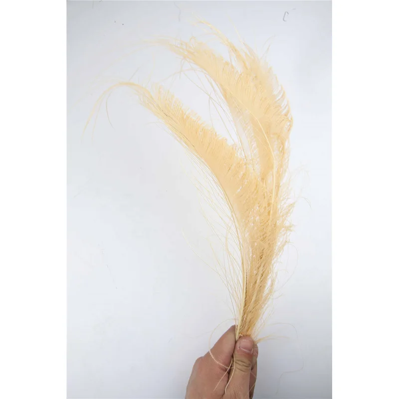 100pcs 100% natural gouache peacock sword feather 30-40cm/12-16inch for Diy carnival costume mask headdress
100pcs 100% natural gouache peacock sword feather 30-40cm/12-16inch for Diy carnival costume mask headdress