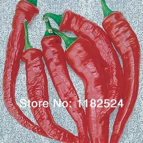 

Rushed Courtyard Plant Small Sementes De Flores Sementes Hot Chili Pepper - Cayenne Thick Vegetable plant (100pcs)