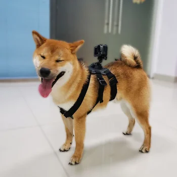 Adjustable Dog Chest Harness Pet Elastic Back Strap Mount for DJI OSMO Action Camera New Arrival
Adjustable Dog Chest Harness Pet Elastic Back Strap Mount for DJI OSMO Action Camera New Arrival