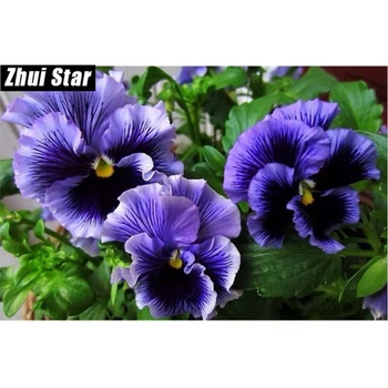 Diy diamond painting flowers square mosaic full cross stitch Diamond embroidery Violet for Crafts Home decorations needlework sh
Diy diamond painting flowers square mosaic full cross stitch Diamond embroidery Violet for Crafts Home decorations needlework sh