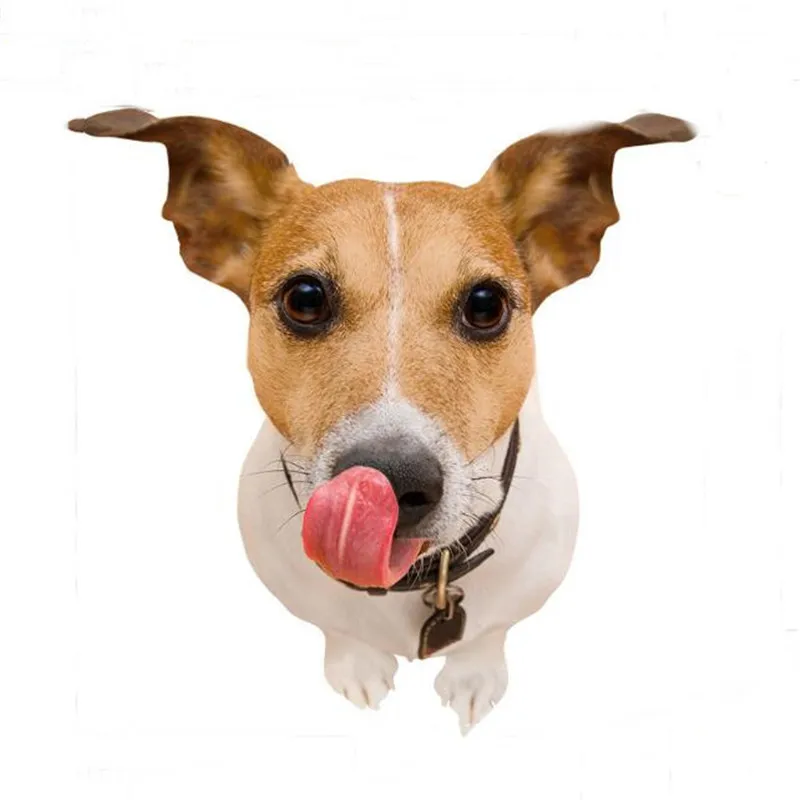 1PC Cute 3D Long Tongue Dog Wall Sticker Floor Stickers For Kids Room Stickers Remover Art Sticker Wall Decals Pets Dogs Murals
1PC Cute 3D Long Tongue Dog Wall Sticker Floor Stickers For Kids Room Stickers Remover Art Sticker Wall Decals Pets Dogs Murals