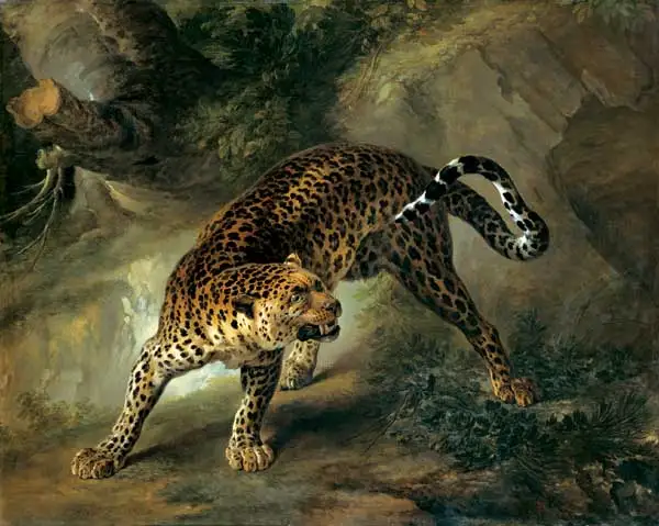 Oil Painting Reproduction,handmade oil painting,Dead Roe,leopard-1741 by Jean-Baptiste Oudry,Animal,Museum quaity
Oil Painting Reproduction,handmade oil painting,Dead Roe,leopard-1741 by Jean-Baptiste Oudry,Animal,Museum quaity