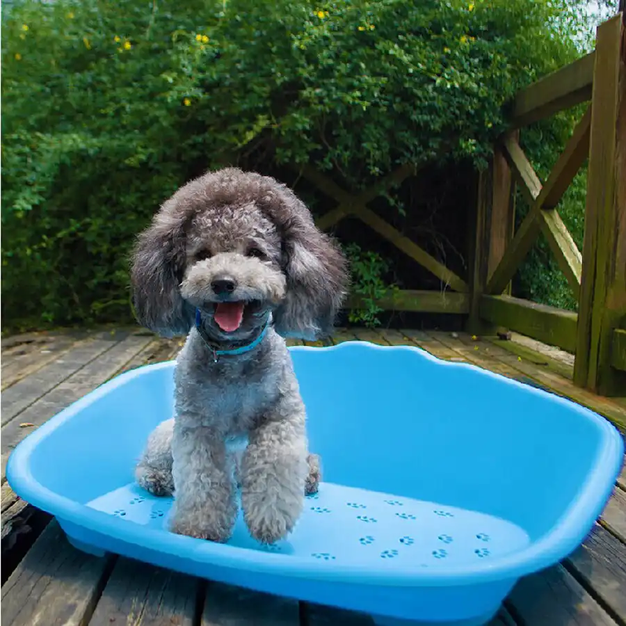 Plastic Kennel Dog House Washable Pet Bed Small Playen Dogs