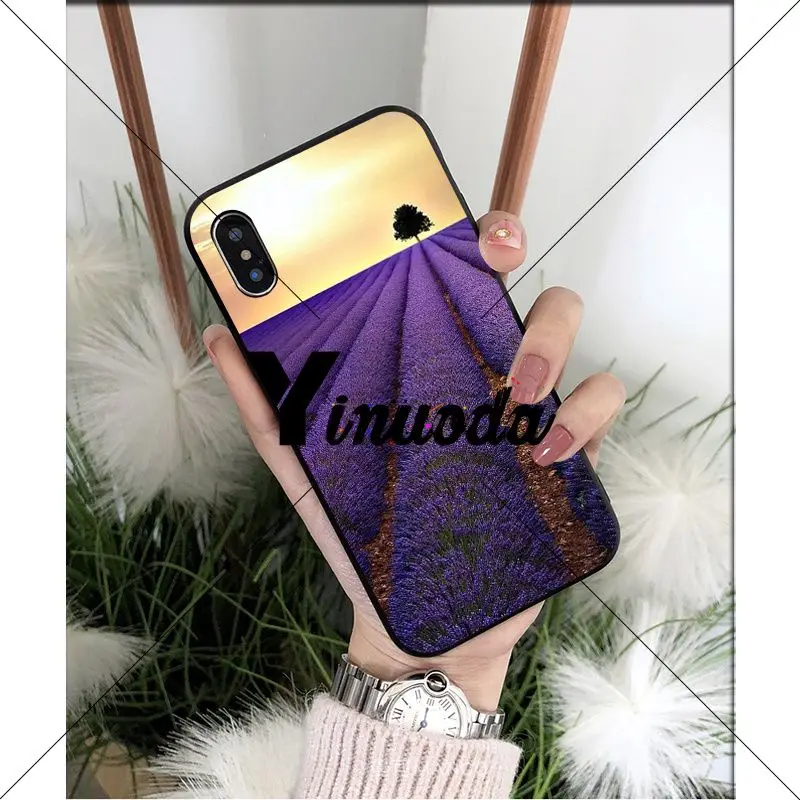 Simple lavender Purple flowers