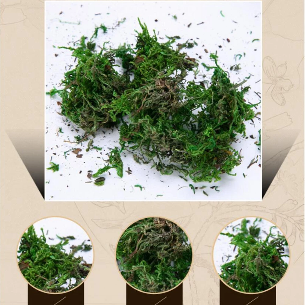 40g/lot artificial flower moss simulation plant turf decoration flower arrangement decoration material DIY potted moss
40g/lot artificial flower moss simulation plant turf decoration flower arrangement decoration material DIY potted moss