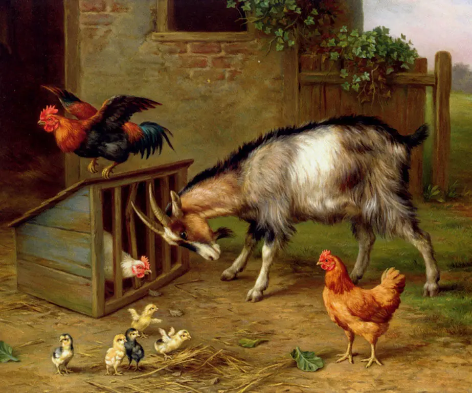 The Intruder Goat Attack Cock Hen Animal Pet Hand Painted Oil Painting On Canvas
The Intruder Goat Attack Cock Hen Animal Pet Hand Painted Oil Painting On Canvas