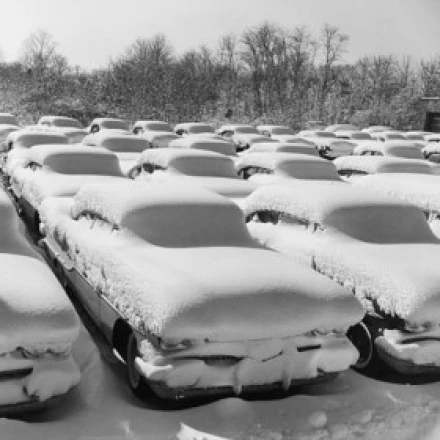 Cars covered with snow in a parking lot Poster Print (18 x 24)