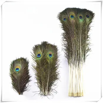 wholesale Natural Real Peacock Feathers For Crafts 10-80cm 50-100-200pcsDIY Home Hotel decor room vase Wedding decoration plumes
wholesale Natural Real Peacock Feathers For Crafts 10-80cm 50-100-200pcsDIY Home Hotel decor room vase Wedding decoration plumes