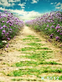 Newborn Vinyl Photo Studio Backdrop Photography Custom Purple Flowers Backgrounds For Photo Studio Children Portrait Photo
Newborn Vinyl Photo Studio Backdrop Photography Custom Purple Flowers Backgrounds For Photo Studio Children Portrait Photo