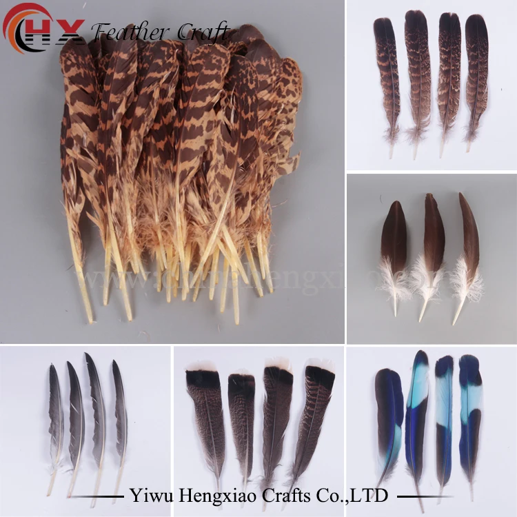 Free shipping wholesale high quality owl eagle feather various decorative diy Pheasant feathers collect
Free shipping wholesale high quality owl eagle feather various decorative diy Pheasant feathers collect