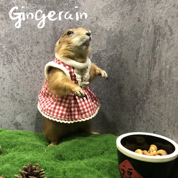 Gingerain original hand-made custom Prairie Black-tailed Prairie Dog marmot groundhog clothes Hooded Sweater
Gingerain original hand-made custom Prairie Black-tailed Prairie Dog marmot groundhog clothes Hooded Sweater